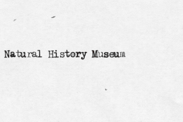 Natural History Museum 