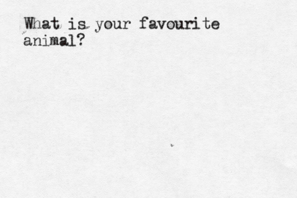 What is your favourite animal? 