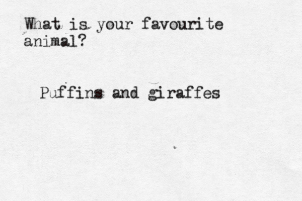 What is your favourite animal? Puffins and giraffes