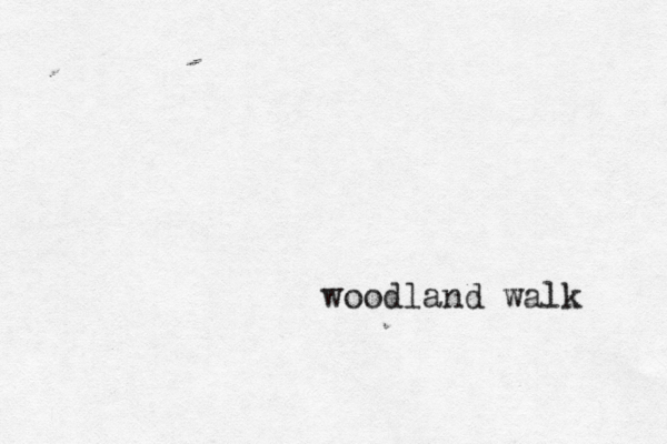 woodland walk 