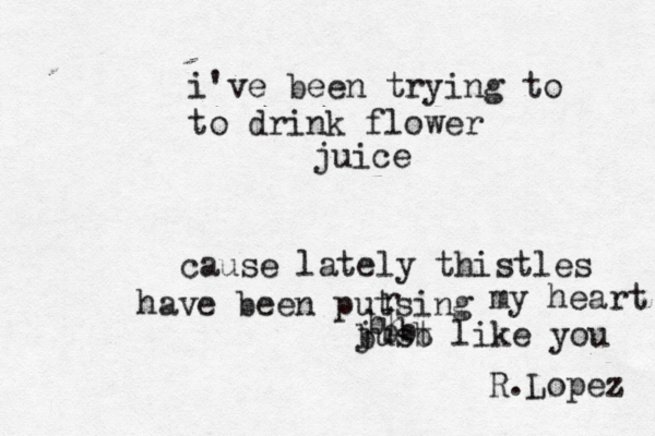 i've been trying to to drink flower juice cause lately thistles have been putsing r my heart just like you h b b b bb R.Lopez 
