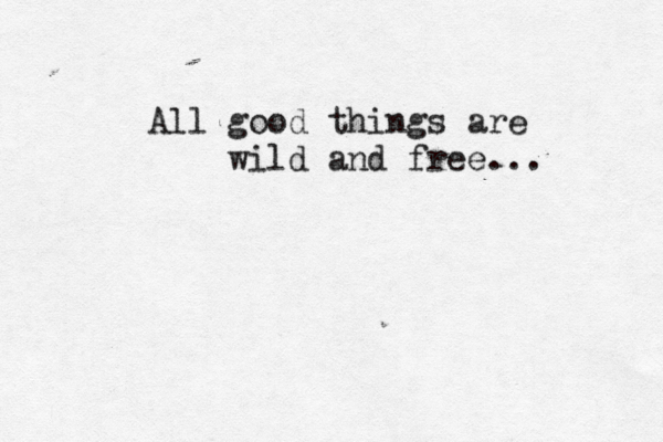 All good things are wild and free... 