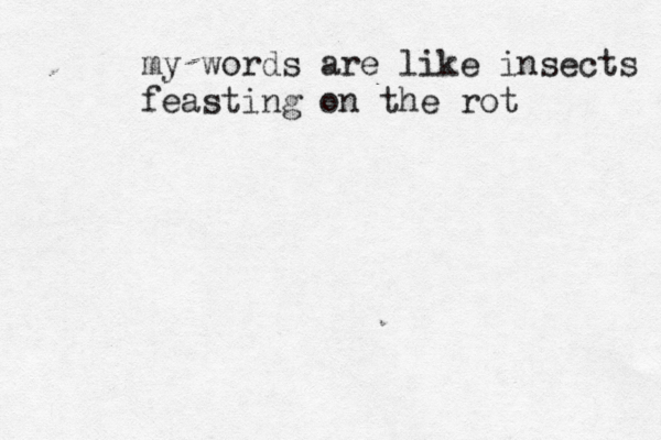 my words are like insects feasting on the rot 
