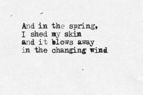 And in the spring, I shed my skin and it blows away in the changing wind 