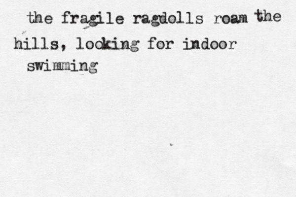 the fragile ragdolls roam the hills, looking for indoor swimming