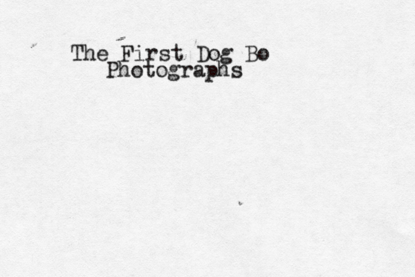 The First Dog Bo Photographs
