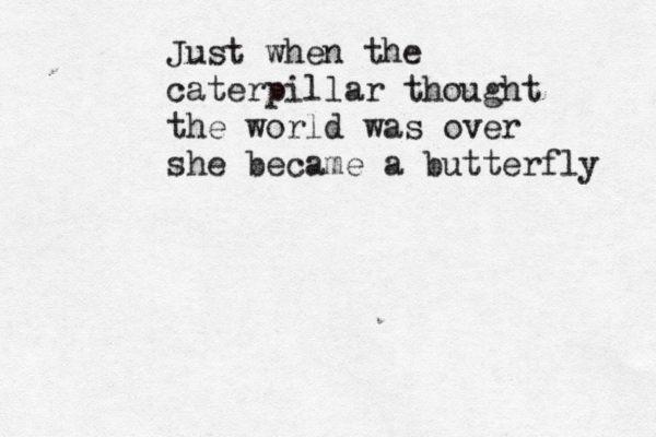 Just when the caterpillar thought the world was over she became a butterfly 