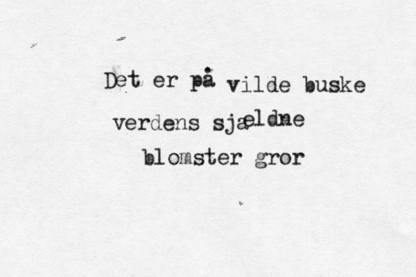 Det er pa . vilde buske verdens sja eldne blomster gror 