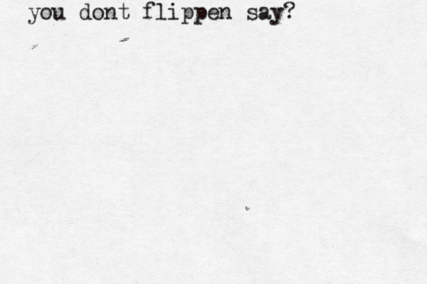 you dont flippen say? 
