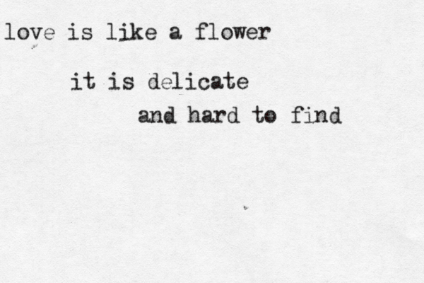 love is like a flower it is delicate and hard to find 