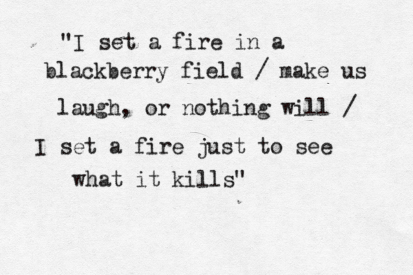 "I set a fire in a blackberry field / make us laugh, or nothing will / I set a fire just to see what it kills" 
