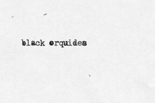 black orquidea s 