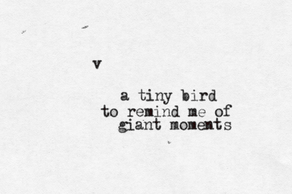v a tiny bird to remind me of giant moments
