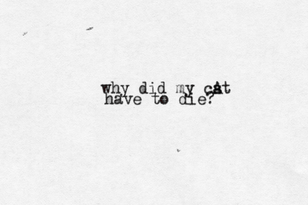 why did my cst a A have to die?