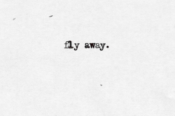 fly away. 