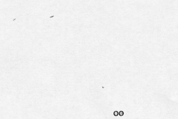 oo