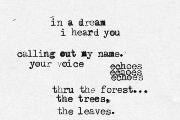 in a dream i heard you calling out my name. your voice echoes echoes echoes thru the forest... the trees, the leaves.