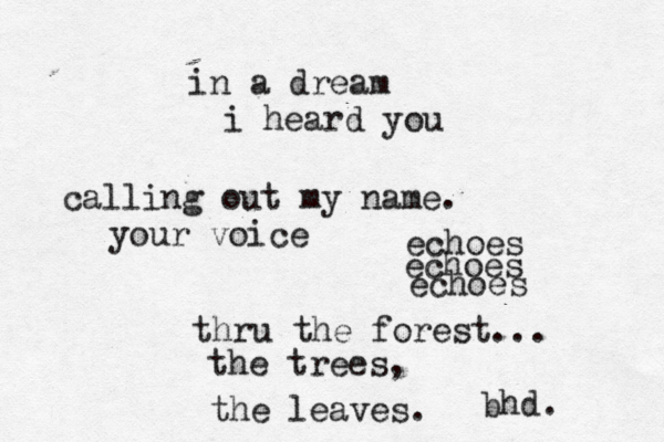in a dream i heard you calling out my name. your voice echoes echoes echoes thru the forest... the trees, the leaves. bhd. 