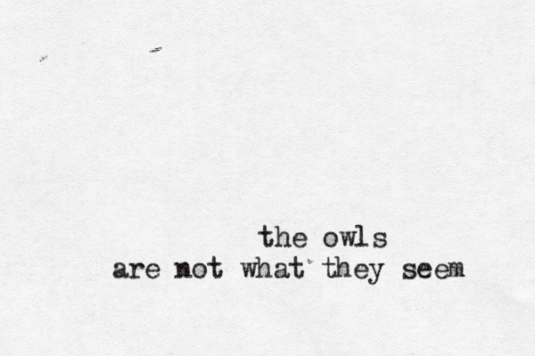the owls are not what they seem 