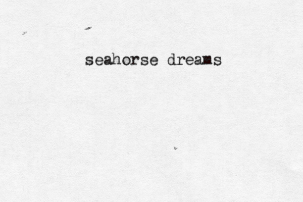 seahorse dreams