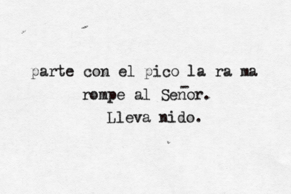 parte con el pico la ra ma rompe al Senor. - Lleva nido. 
