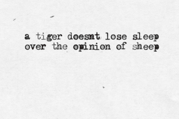 a tiger doesnt lose sleep over the opinion of sheep 