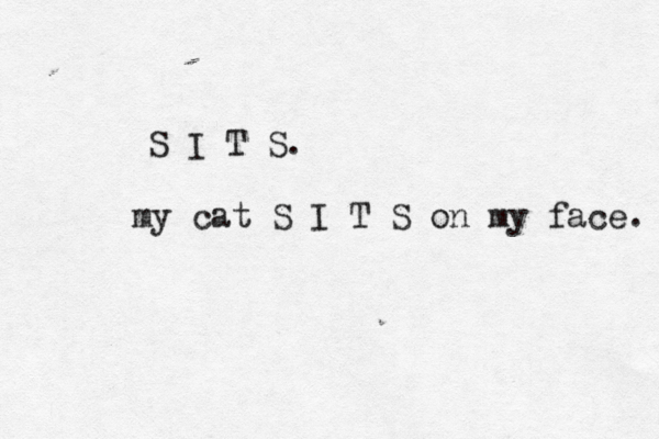 S I T S . my cat S I T S on my face. 