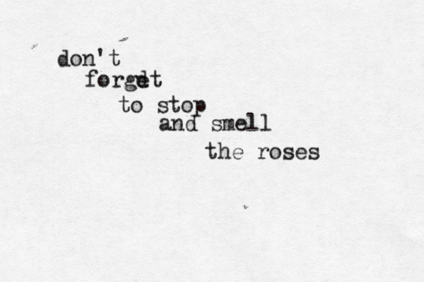 don't forgdt e to stop and smell the roses 