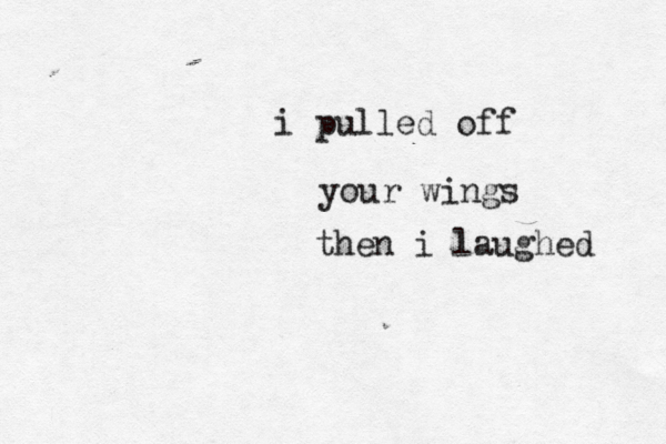 i pulled off your wings then i laughed 