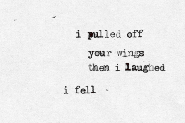 i pulled off your wings then i laughed i fell