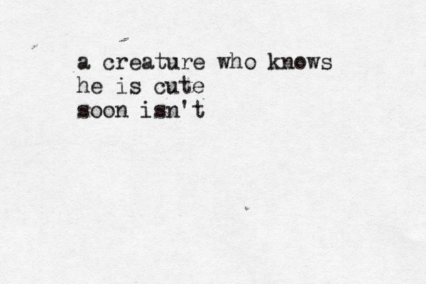 a creature who knows he is cute soon isn't 