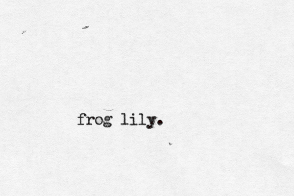 frog lily.