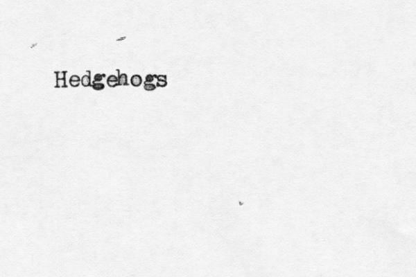 Hedgehogs