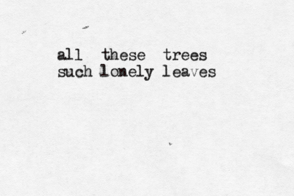 all these trees such lonely leaves 
