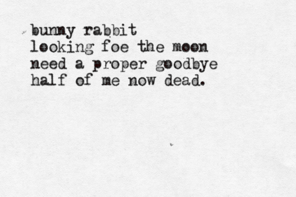 bunny rabbit looking foe the moon need a proper goodbye half of me now dead. 