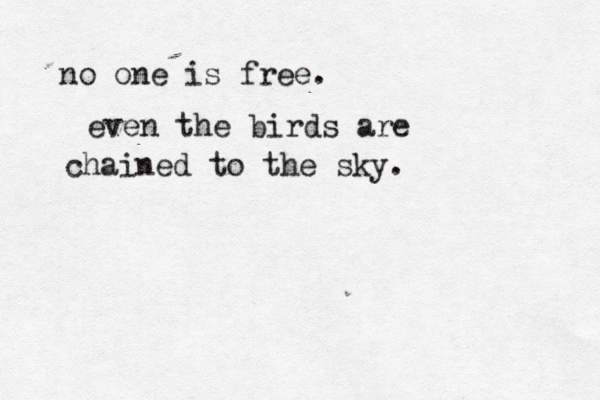 no one is free. even the birds are chained to the sky. 
