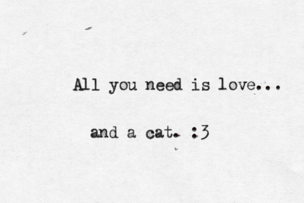 All you need is love v ... and a cat. :3