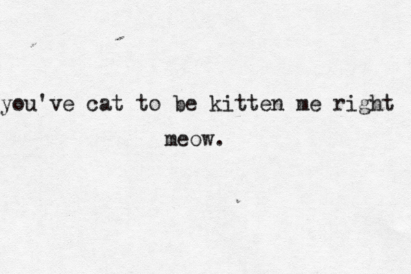 you've cat to be kitten me right meow. 