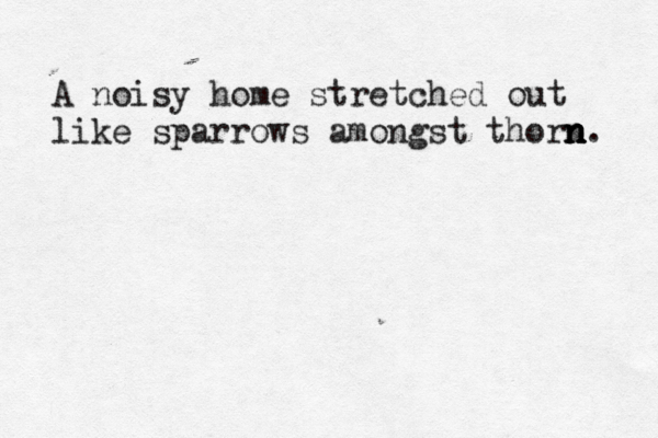 A noisy home stretched out like sparrows amongst thorn n n n n. 