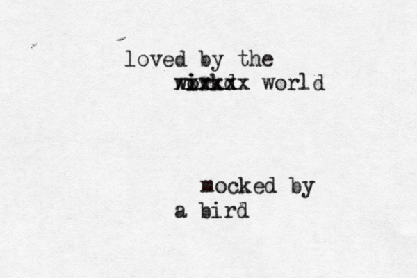 mocked by a bird loved by the wirkd i o xxxxxx x world