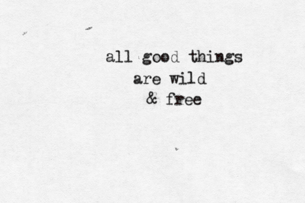 all good things are wild & free
