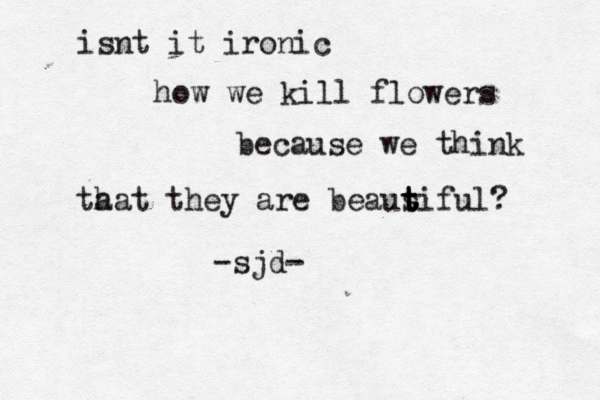 isnt it ironic how we kill flowers because we think ta hat they are beaus t t t t iful? -sjd- 