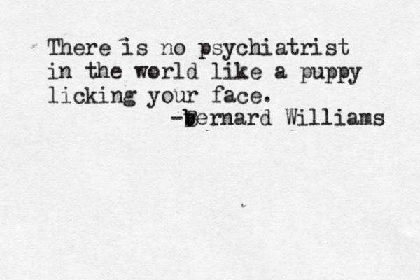 There is no psychiatrist in the world like a puppy licking your face. -bernard B b v Williams 