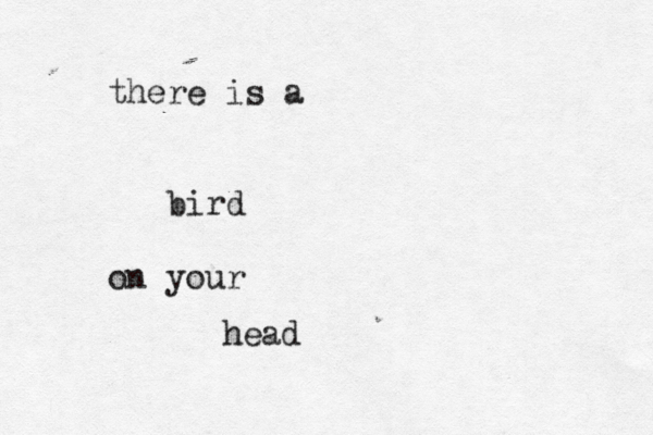 there is a b ird on your head