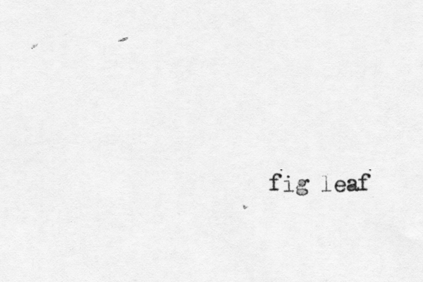 fig leaf 