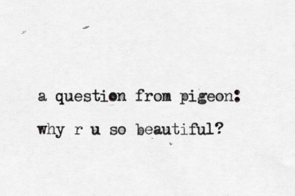 a question from pigeon: why r u so beautiful?