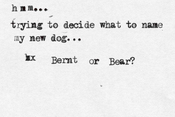 h m m... trying to decide what to name my new dog... b xx Bernt or Bear? 