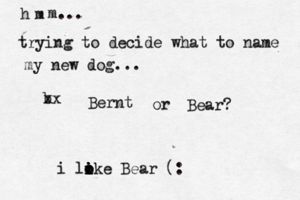 h m m... trying to decide what to name my new dog... b xx Bernt or Bear? i loke i i o i i Bear (: