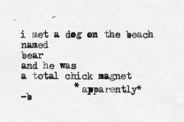 i met a dog on the beach named bear and he was a total chick magnet -b apparently* * 