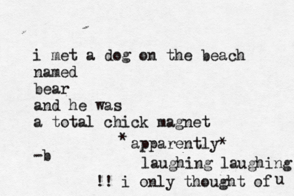 i met a dog on the beach named bear and he was a total chick magnet -b apparently* * laughing laughing !! i only thought of u 